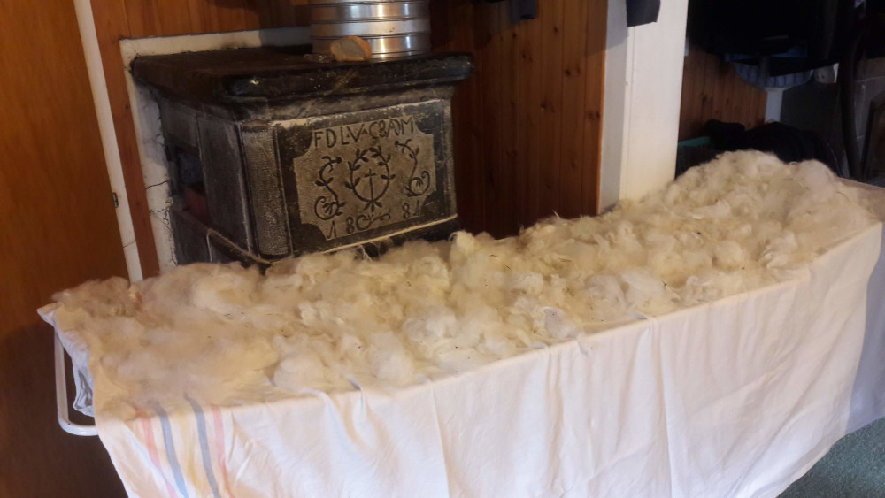 gewaschen Rohwolle 