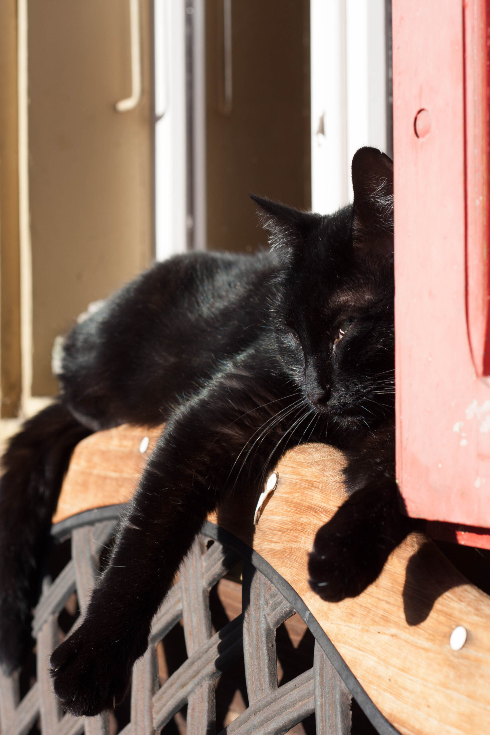 Schwarze Katze, die auf einer Fensterbank Sonne tankt